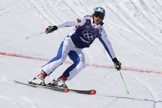 2014 Winter Olympics. Freestyle skiing. Men. Ski cross