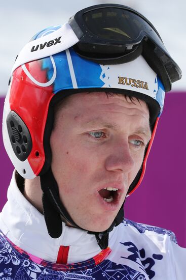 2014 Winter Olympics. Freestyle skiing. Men. Ski cross