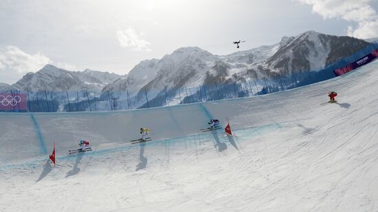 2014 Winter Olympics. Freestyle skiing. Men. Ski cross