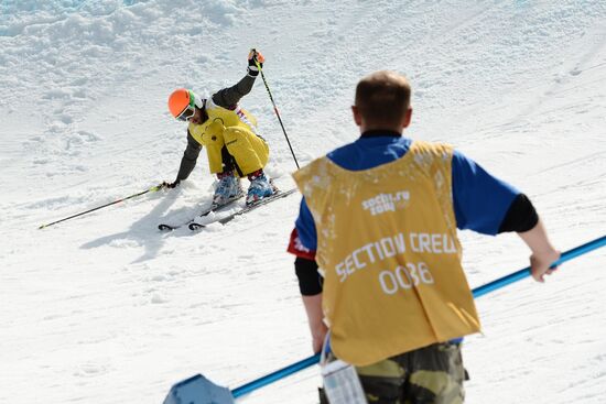 2014 Winter Olympics. Freestyle skiing. Men. Ski cross