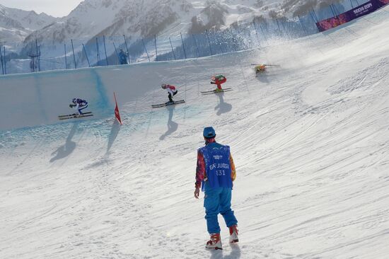 2014 Winter Olympics. Freestyle skiing. Men. Ski cross