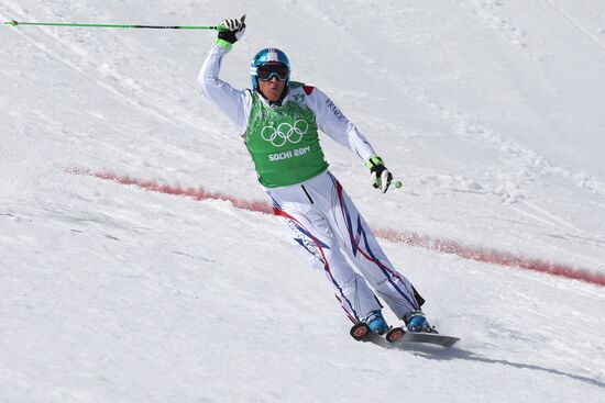 2014 Winter Olympics. Freestyle skiing. Men. Ski cross