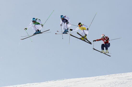 2014 Winter Olympics. Freestyle skiing. Men. Ski cross
