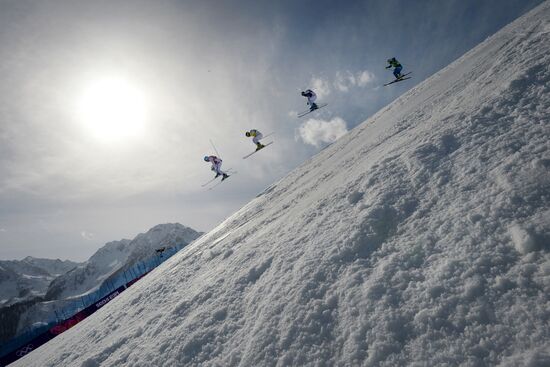 2014 Winter Olympics. Freestyle skiing. Men. Ski cross