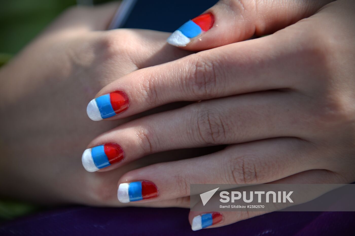 2014 Winter Olympics. Freestyle skiing. Men. Ski cross