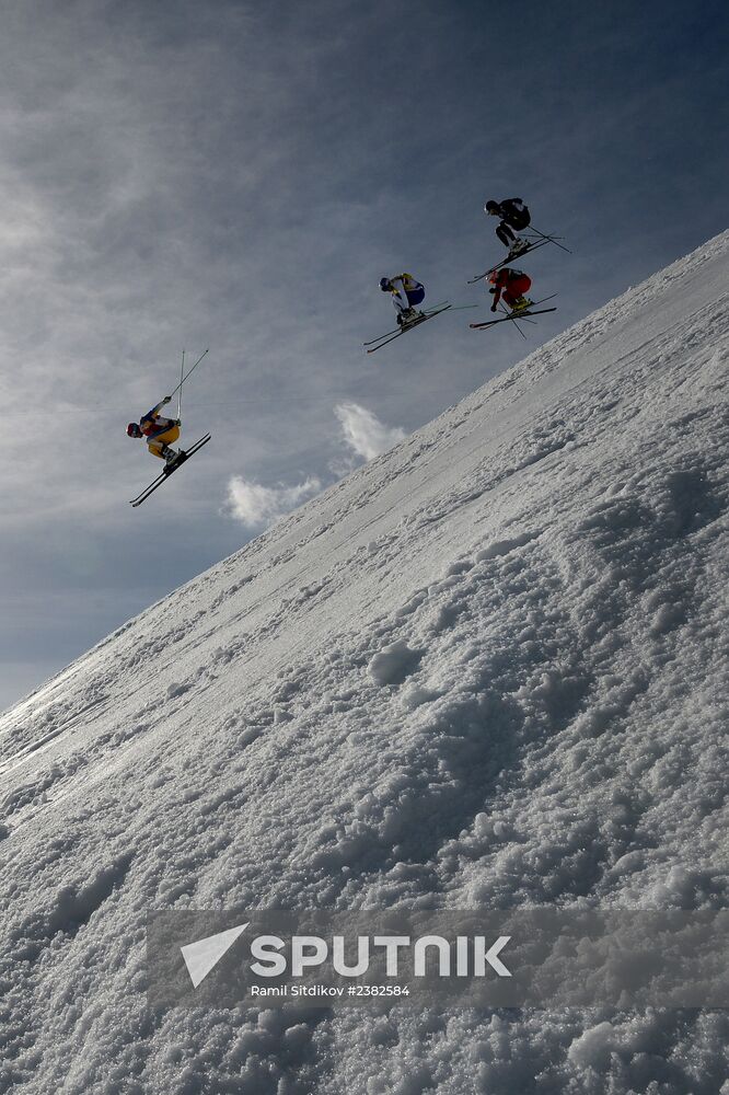 2014 Winter Olympics. Freestyle skiing. Men. Ski cross