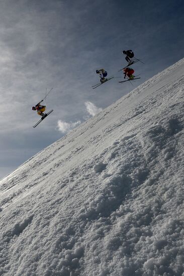 2014 Winter Olympics. Freestyle skiing. Men. Ski cross