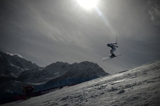 2014 Winter Olympics. Freestyle skiing. Men. Ski cross