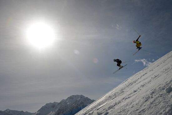 2014 Winter Olympics. Freestyle skiing. Men. Ski cross
