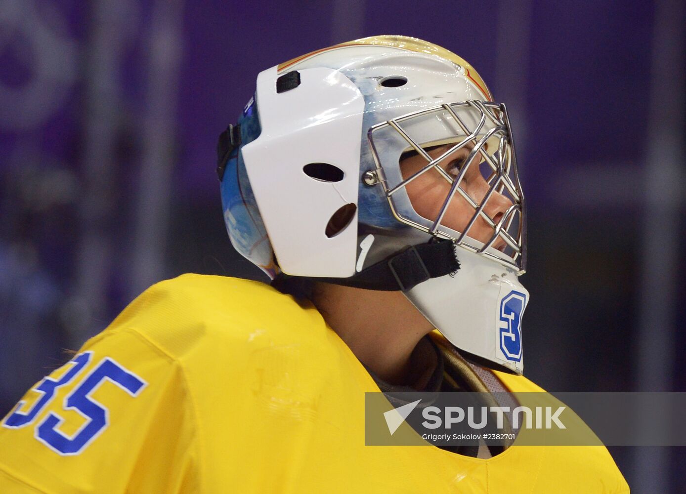 2014 Winter Olympics. Hockey. Women. Bronze Medal Match