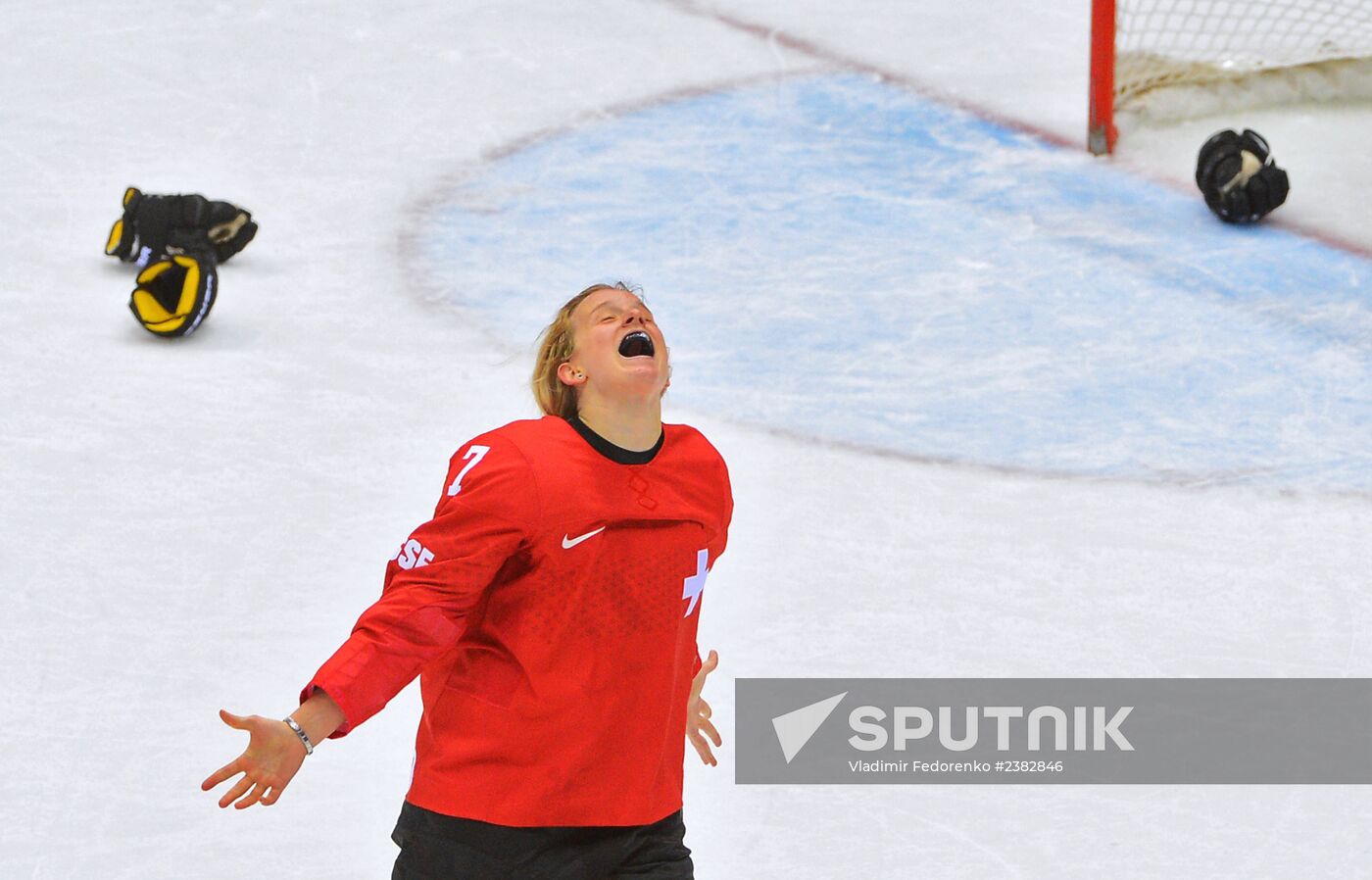 2014 Winter Olympics. Ice hockey. Women. Bronze medal match
