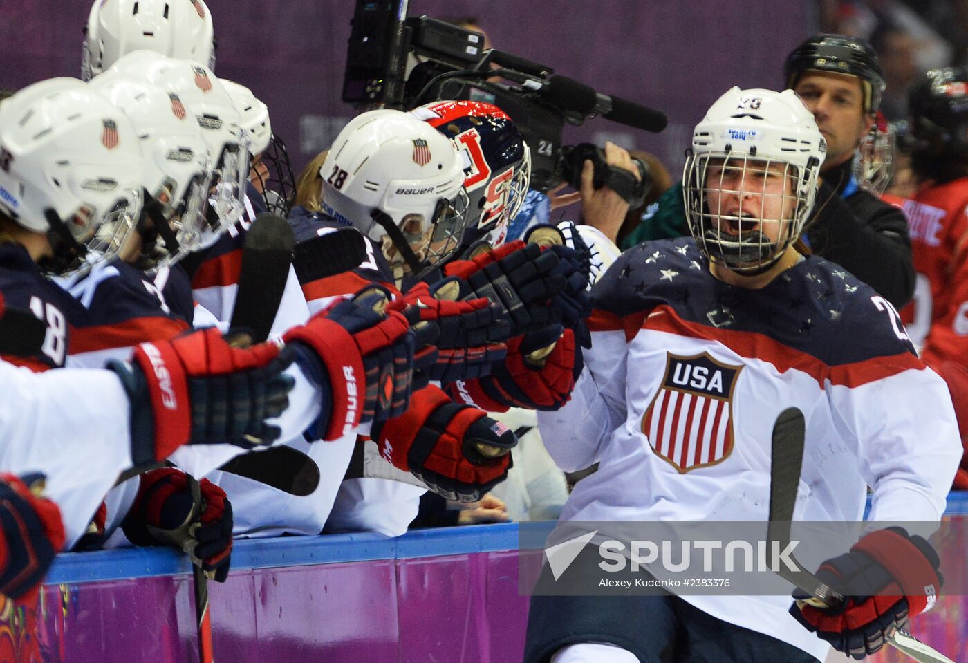 2014 Winter Olympics. Ice hockey. Women. Finals