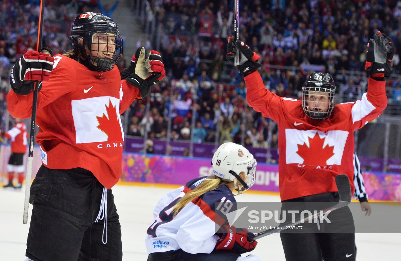 2014 Winter Olympics. Ice hockey. Women. Finals