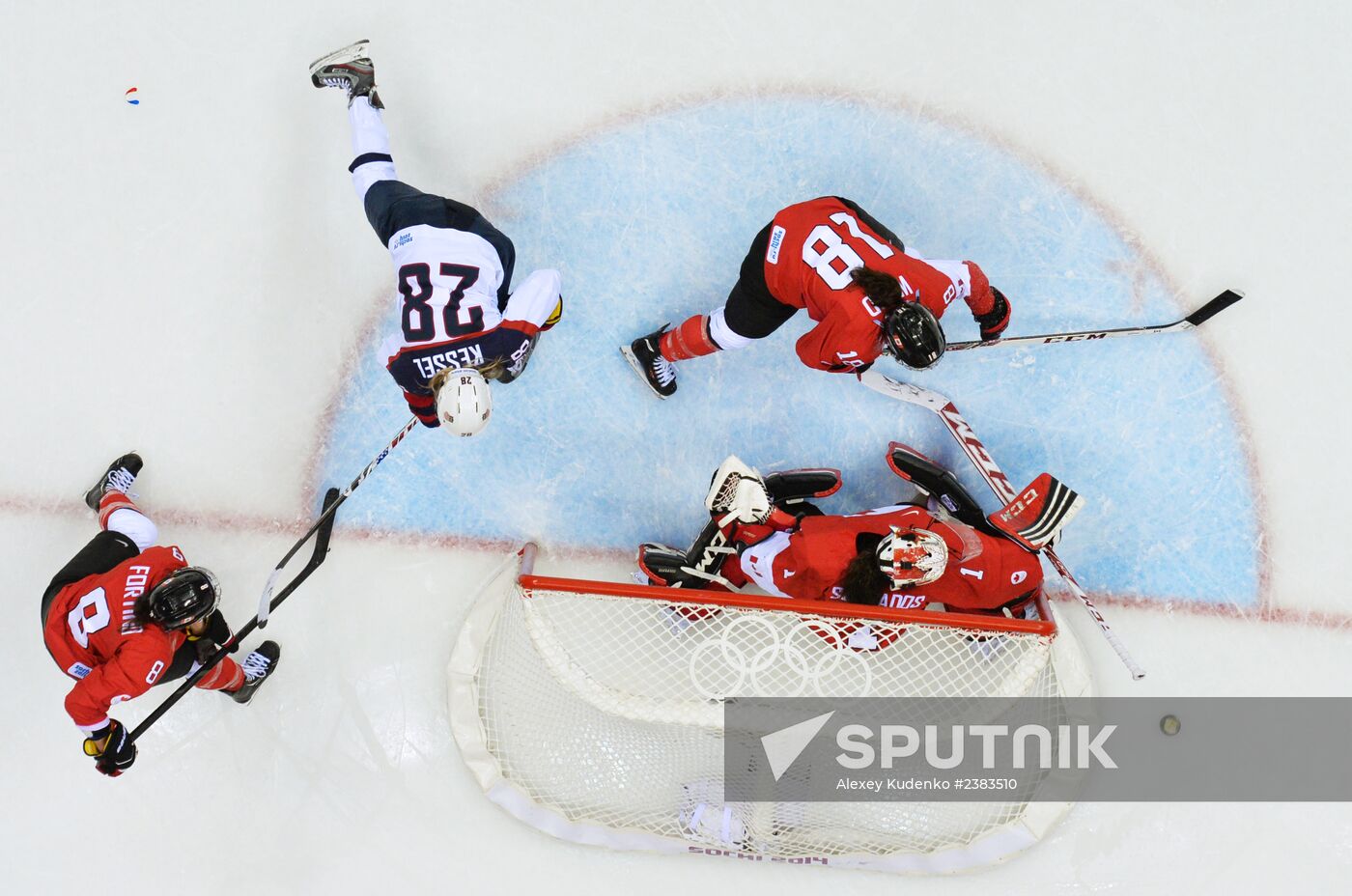 2014 Winter Olympics. Ice hockey. Women. Finals