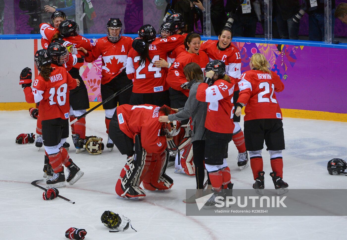 2014 Winter Olympics. Ice hockey. Women. Finals