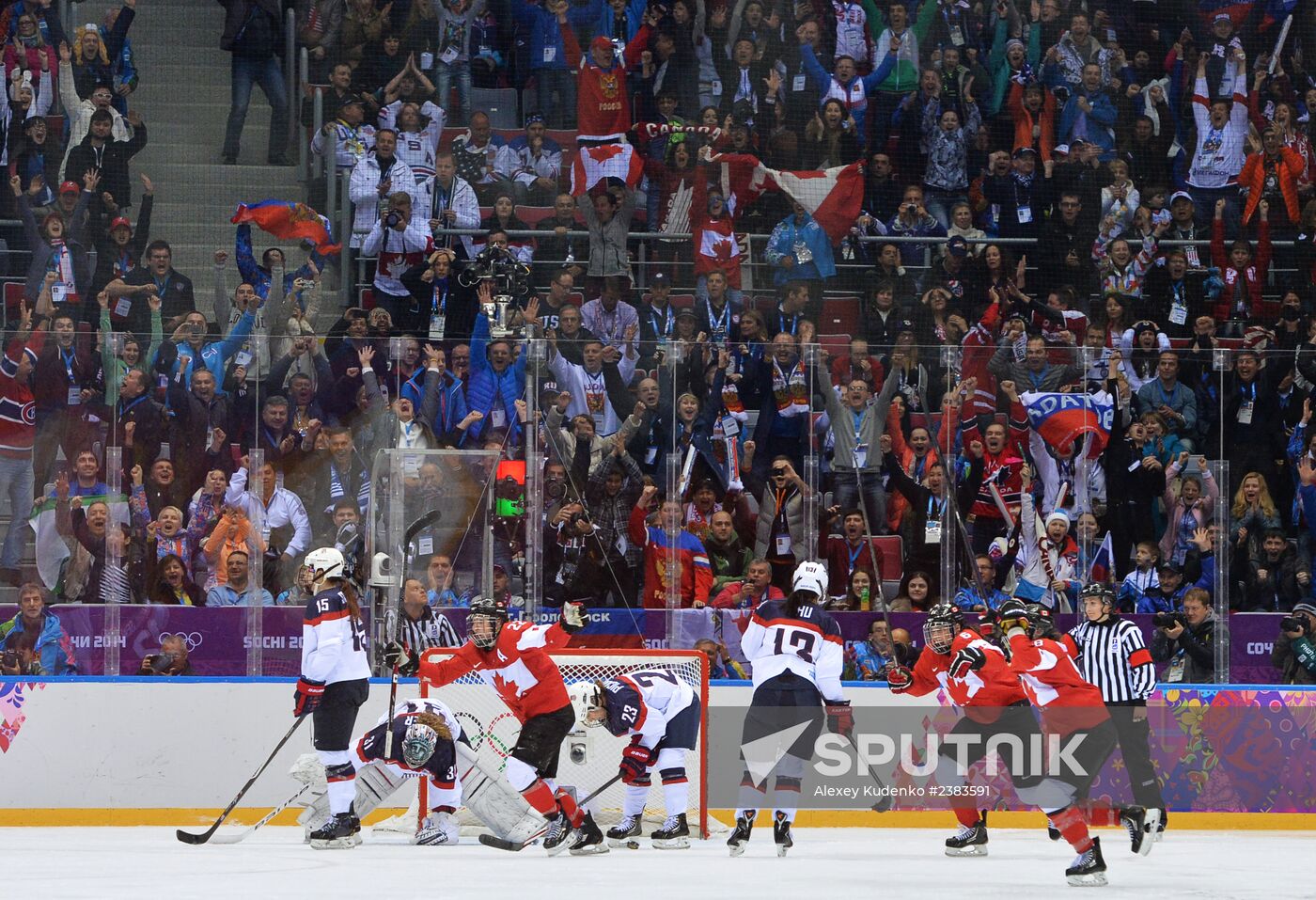 2014 Winter Olympics. Ice hockey. Women. Finals