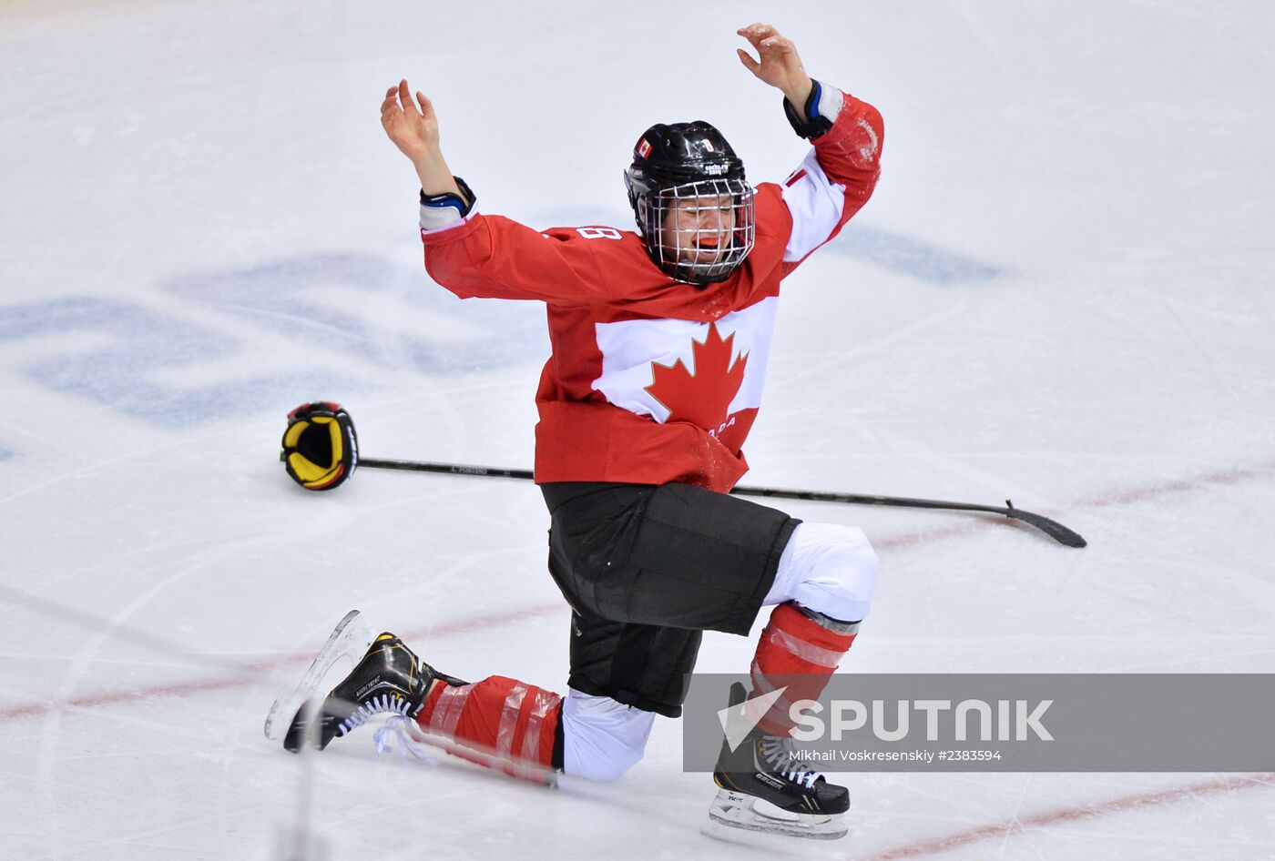 2014 Winter Olympics. Ice hockey. Women. Finals