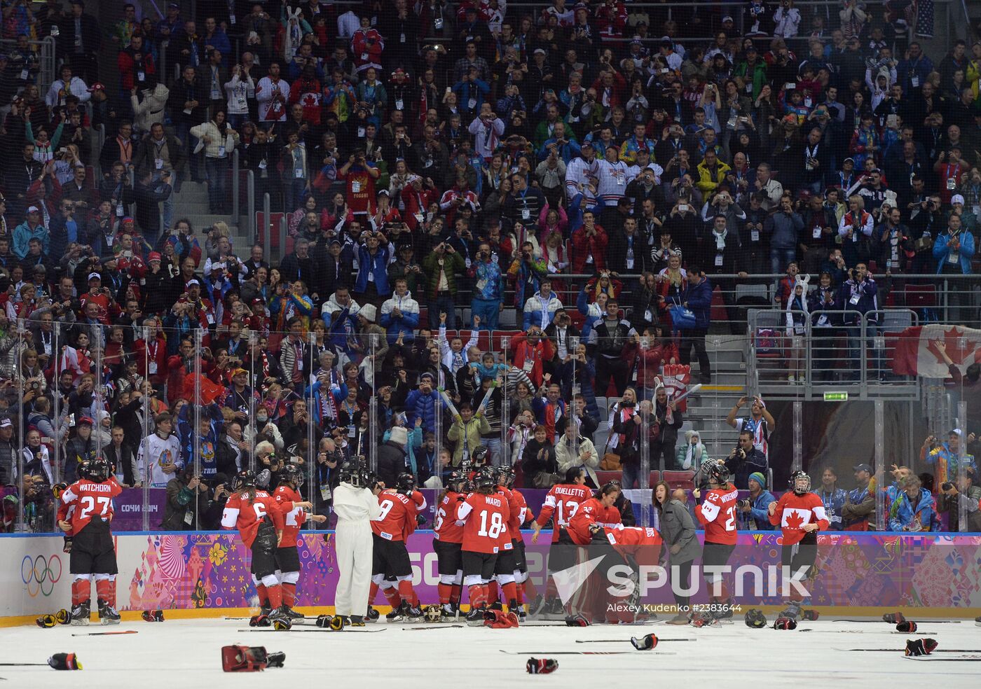 2014 Winter Olympics. Ice hockey. Women. Finals