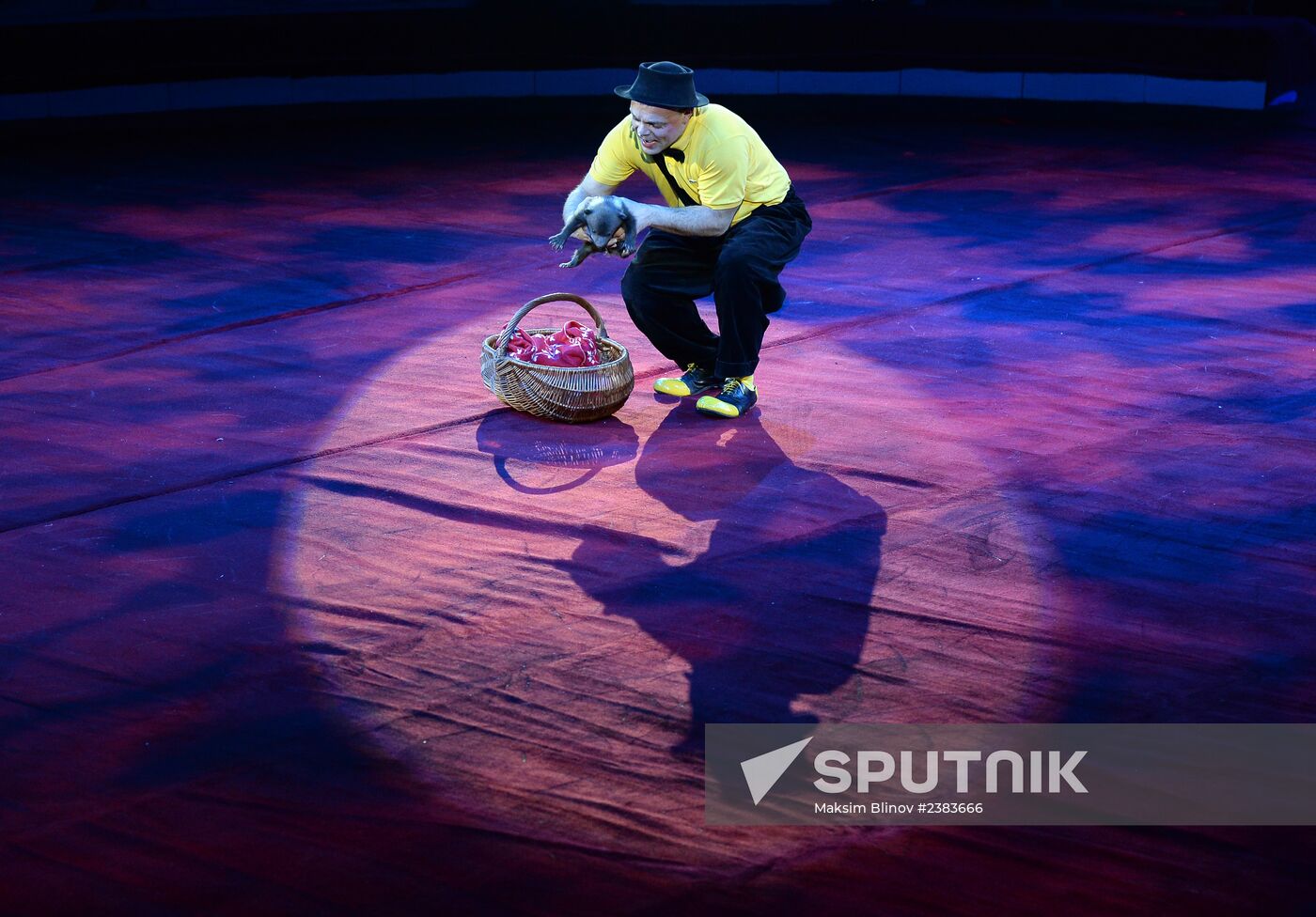 Premiere of new program at Nikulin Circus on Tsvetnoi Boulevard