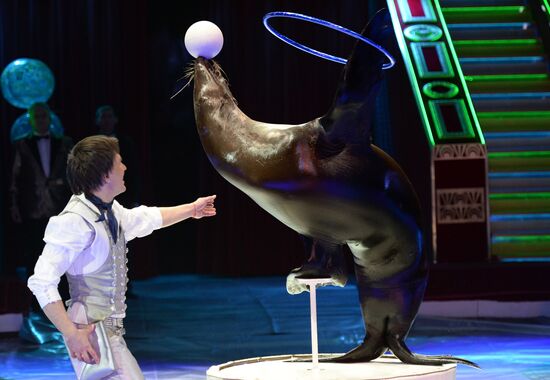 Premiere of new program at Nikulin Circus on Tsvetnoi Boulevard