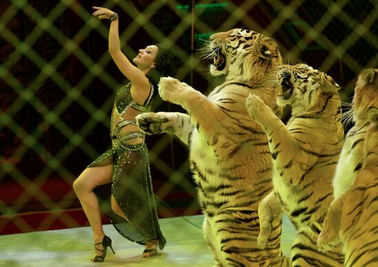 Premiere of new program at Nikulin Circus on Tsvetnoi Boulevard