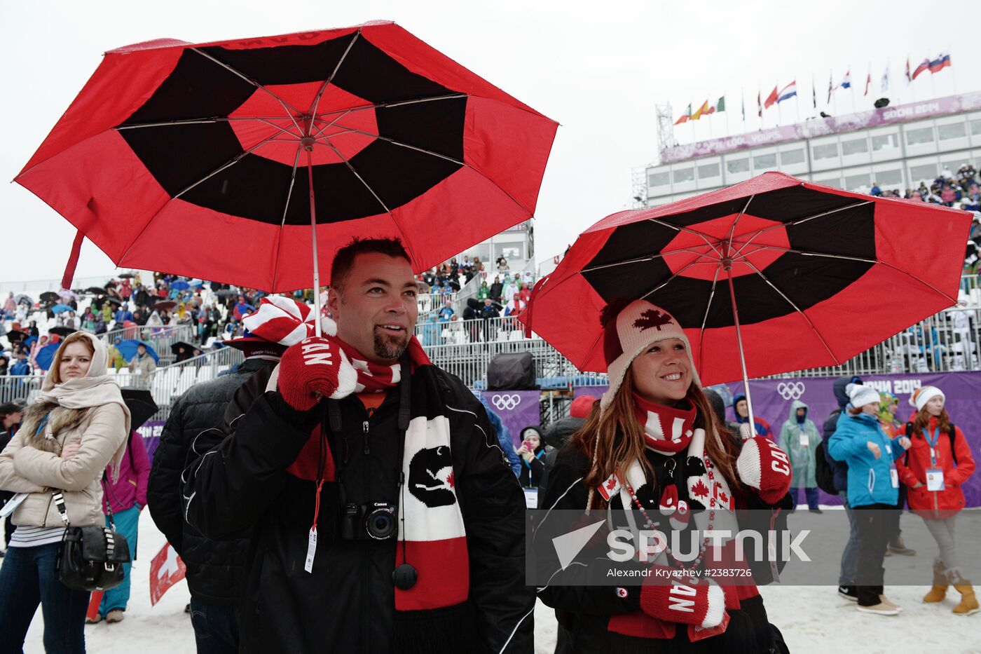 2014 Winter Olympics. Freestyle skiing. Women. Ski cross