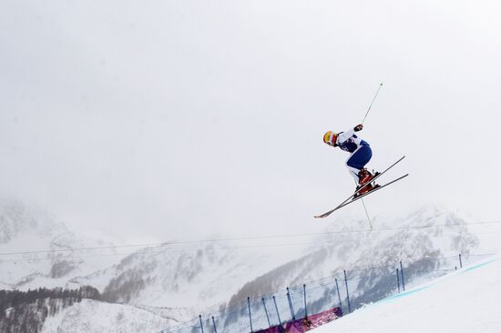 2014 Winter Olympics. Freestyle skiing. Women. Ski cross