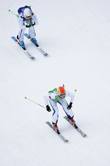 2014 Winter Olympics. Freestyle skiing. Women. Ski cross