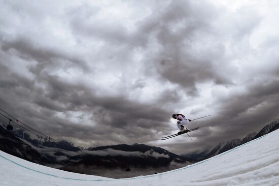 2014 Winter Olympics. Freestyle skiing. Women. Ski cross