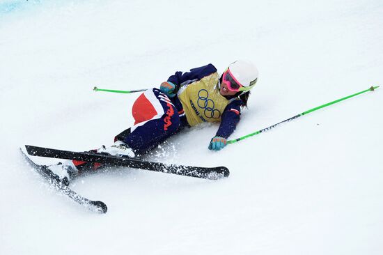 2014 Winter Olympics. Freestyle skiing. Women. Ski cross