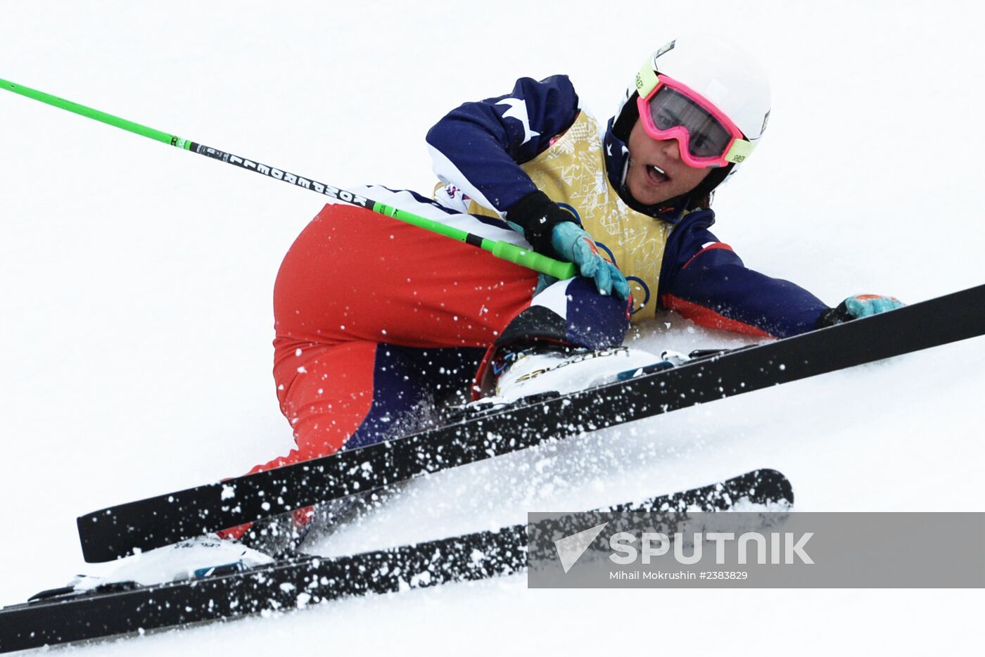 2014 Winter Olympics. Freestyle skiing. Women. Ski cross