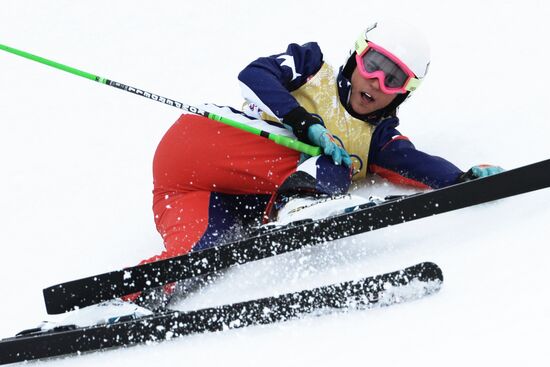 2014 Winter Olympics. Freestyle skiing. Women. Ski cross