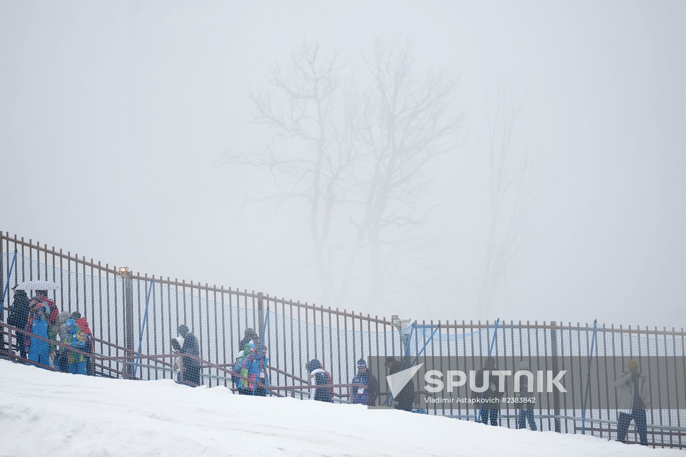 2014 Winter Olympics. Freestyle skiing. Women. Ski cross