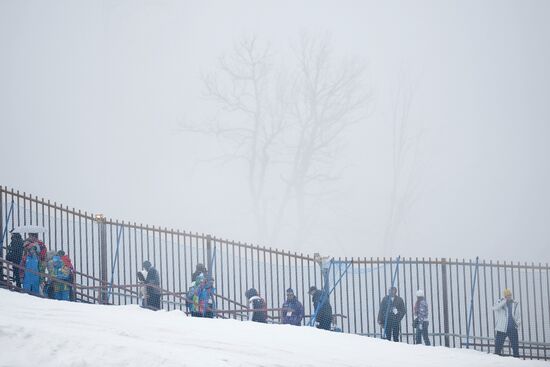 2014 Winter Olympics. Freestyle skiing. Women. Ski cross