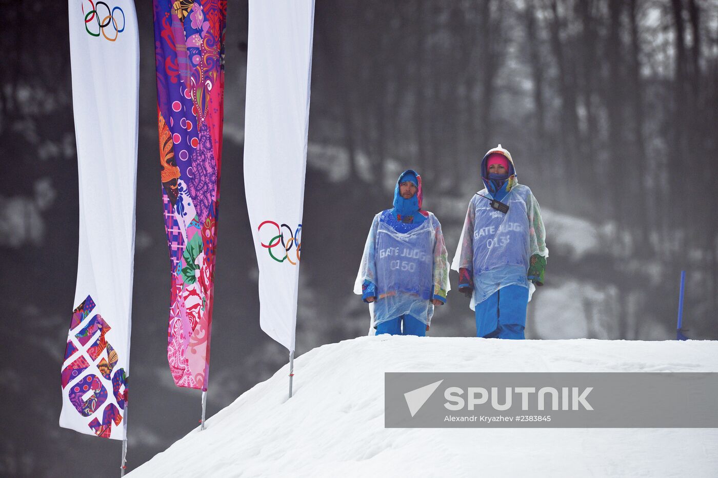 2014 Winter Olympics. Freestyle skiing. Women. Ski cross