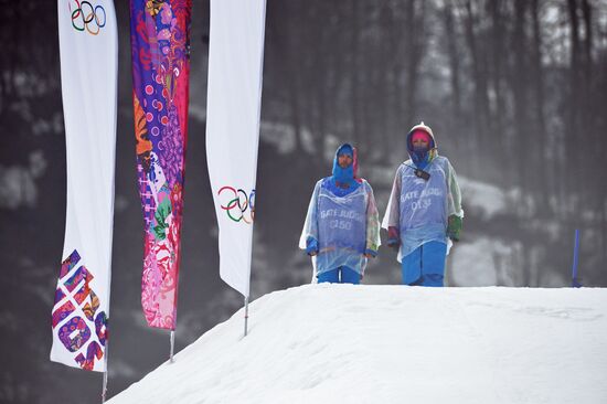 2014 Winter Olympics. Freestyle skiing. Women. Ski cross