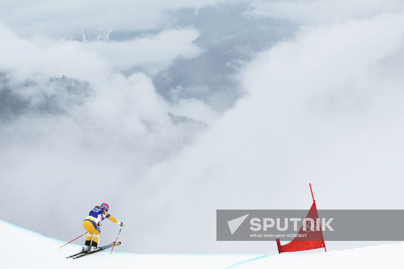 2014 Winter Olympics. Freestyle skiing. Women. Ski cross