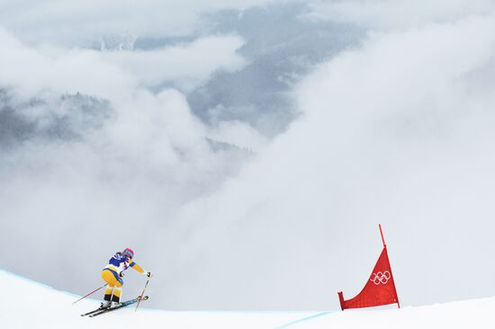 2014 Winter Olympics. Freestyle skiing. Women. Ski cross