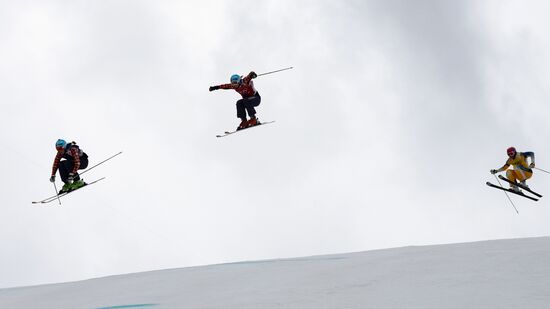 2014 Winter Olympics. Freestyle skiing. Women. Ski cross
