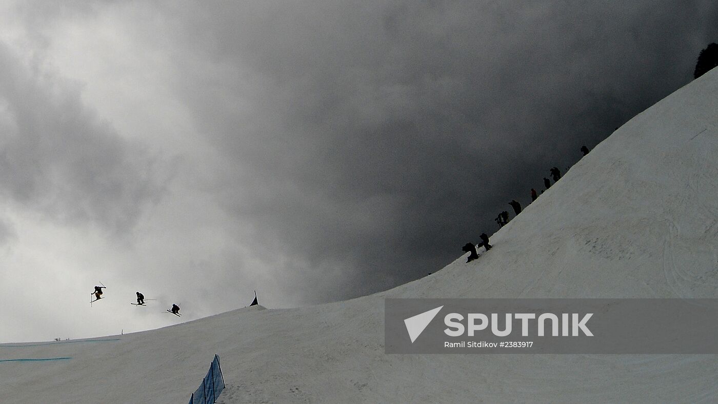 2014 Winter Olympics. Freestyle skiing. Women. Ski cross