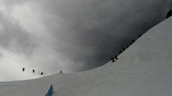 2014 Winter Olympics. Freestyle skiing. Women. Ski cross