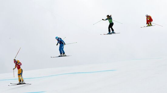 2014 Winter Olympics. Freestyle skiing. Women. Ski cross