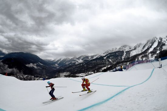 2014 Winter Olympics. Freestyle skiing. Women. Ski cross