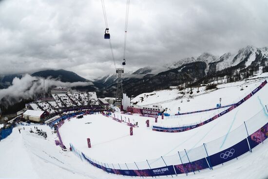 2014 Winter Olympics. Freestyle skiing. Women. Ski cross