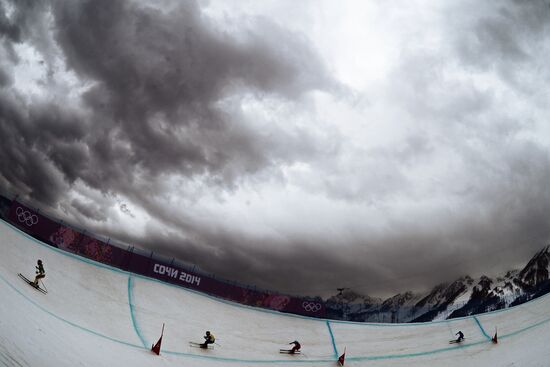 2014 Winter Olympics. Freestyle skiing. Women. Ski cross