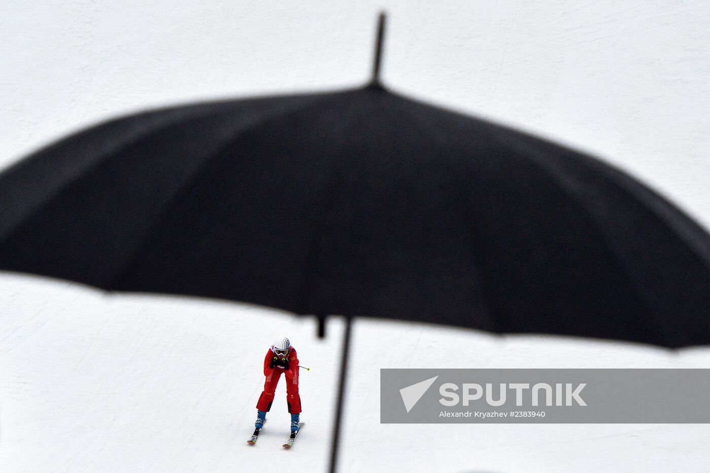 2014 Winter Olympics. Freestyle skiing. Women. Ski cross