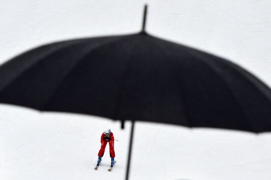 2014 Winter Olympics. Freestyle skiing. Women. Ski cross