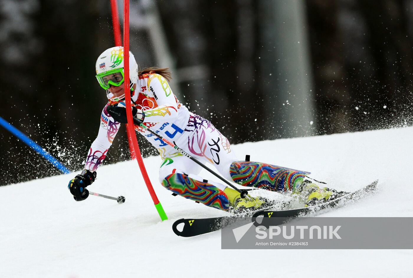 2014 Winter Olympics. Alpine skiing. Women. Slalom