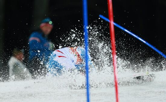 2014 Winter Olympics. Alpine skiing. Women. Slalom