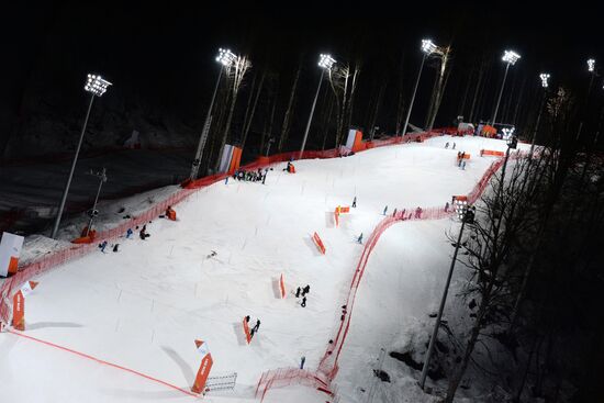 2014 Winter Olympics. Alpine skiing. Women. Slalom
